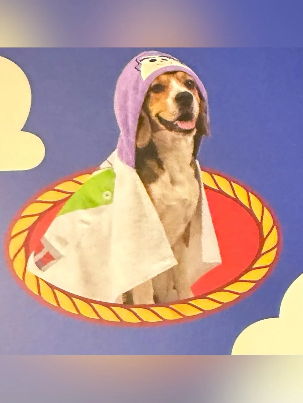 Disney Toy Story Buzz Hooded Pet Towel - Purple & White